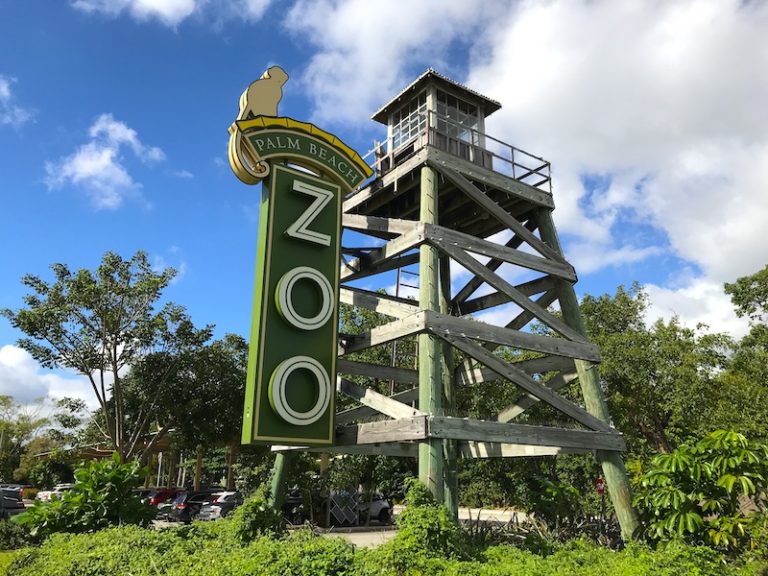 A Wild Time at the Palm Beach Zoo