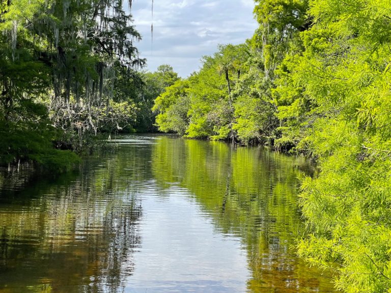Discovering Beautiful Jonathan Dickinson State Park