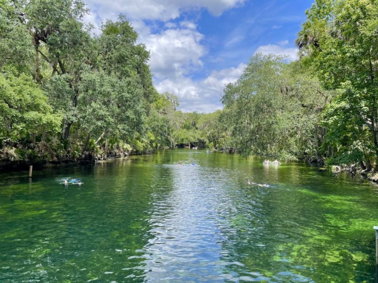 Beautiful Blue Springs State Park