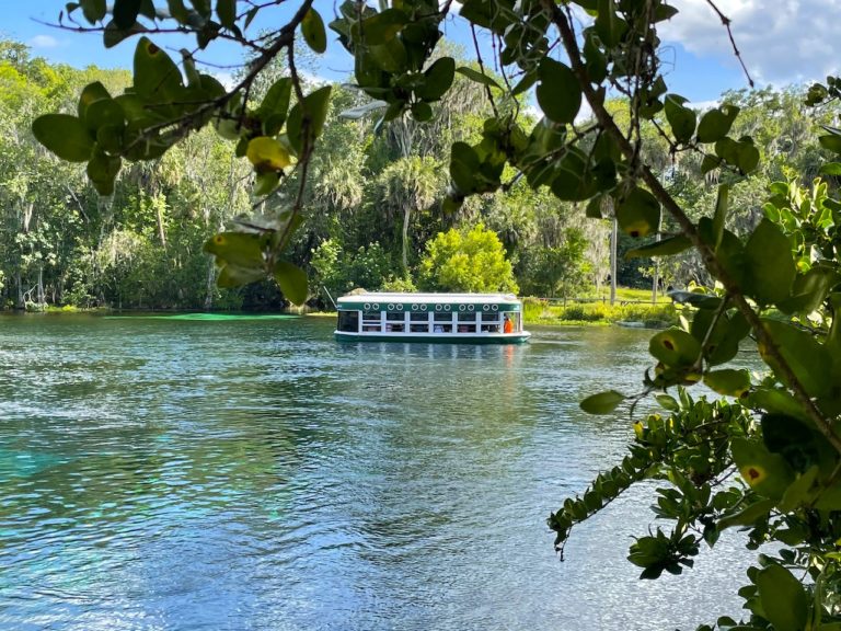 A Day Exploring Florida’s Beautiful Silver Springs