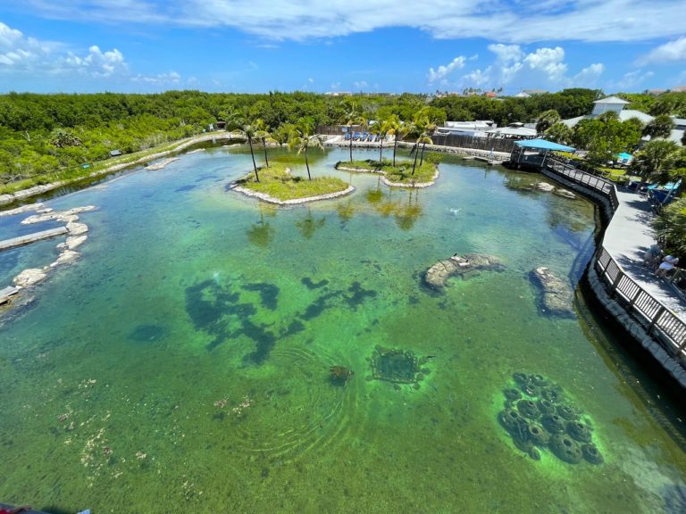 Florida Oceanographic Coastal Center – Stuart, Fl.