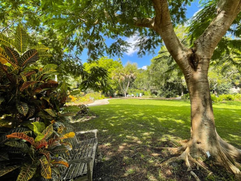 The Best Day at Heathcote Botanical Gardens Fort Pierce
