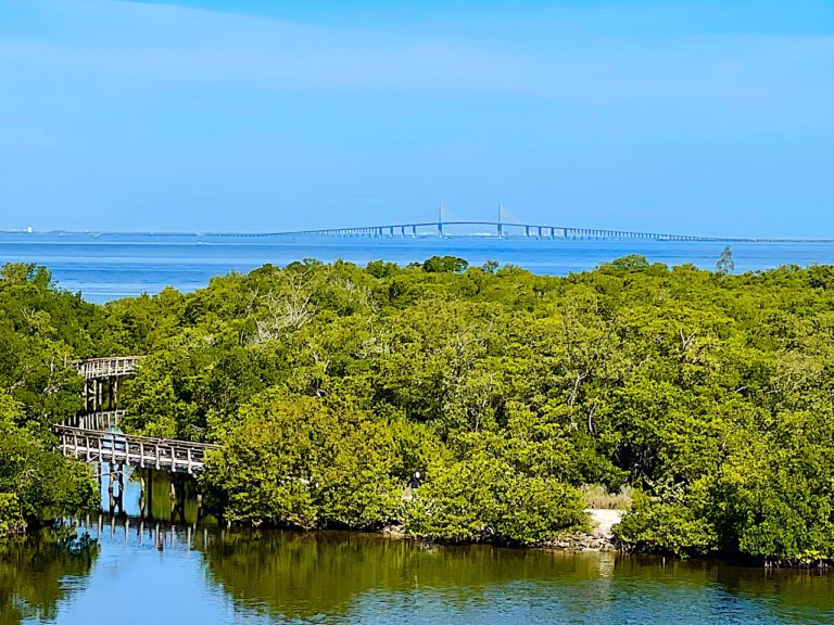 Robinson Preserve Bradenton Florida