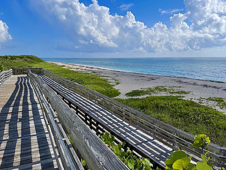 Beautiful John D MacArthur Beach State Park
