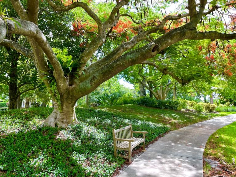 Mounts Botanical Garden