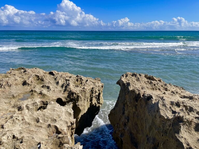 The Beautiful Blowing Rocks Preserve on Jupiter Island