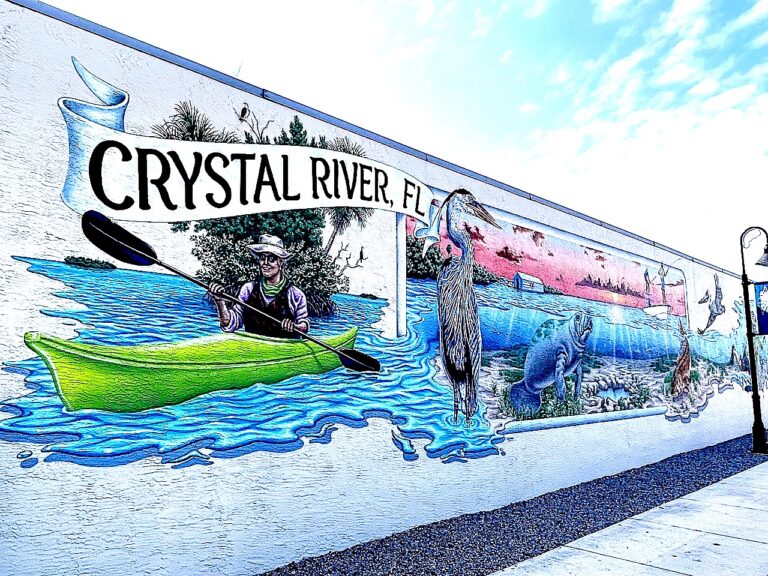 Travel to the Clear Waters of Crystal River, Florida