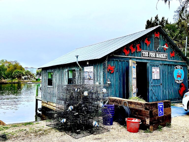 The Ultimate Homosassa, Florida Travel Guide